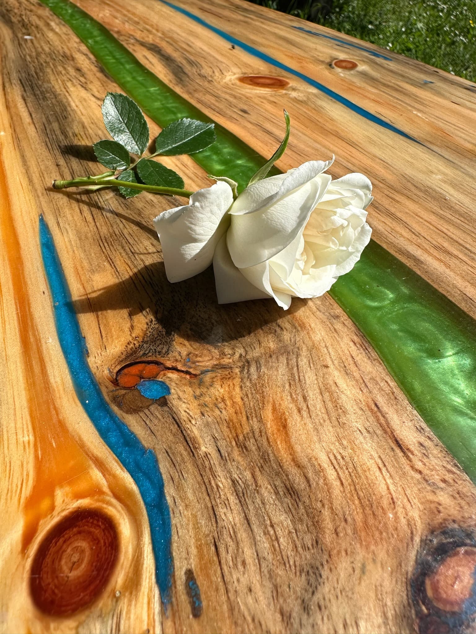 Mani che mostrano un talismano sopra pagine botaniche
